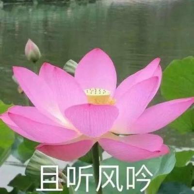 余承东发布第一条原生鸿蒙微博！